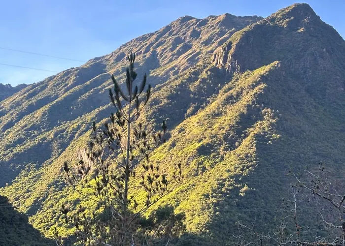Salkantay Collpapampa Camping